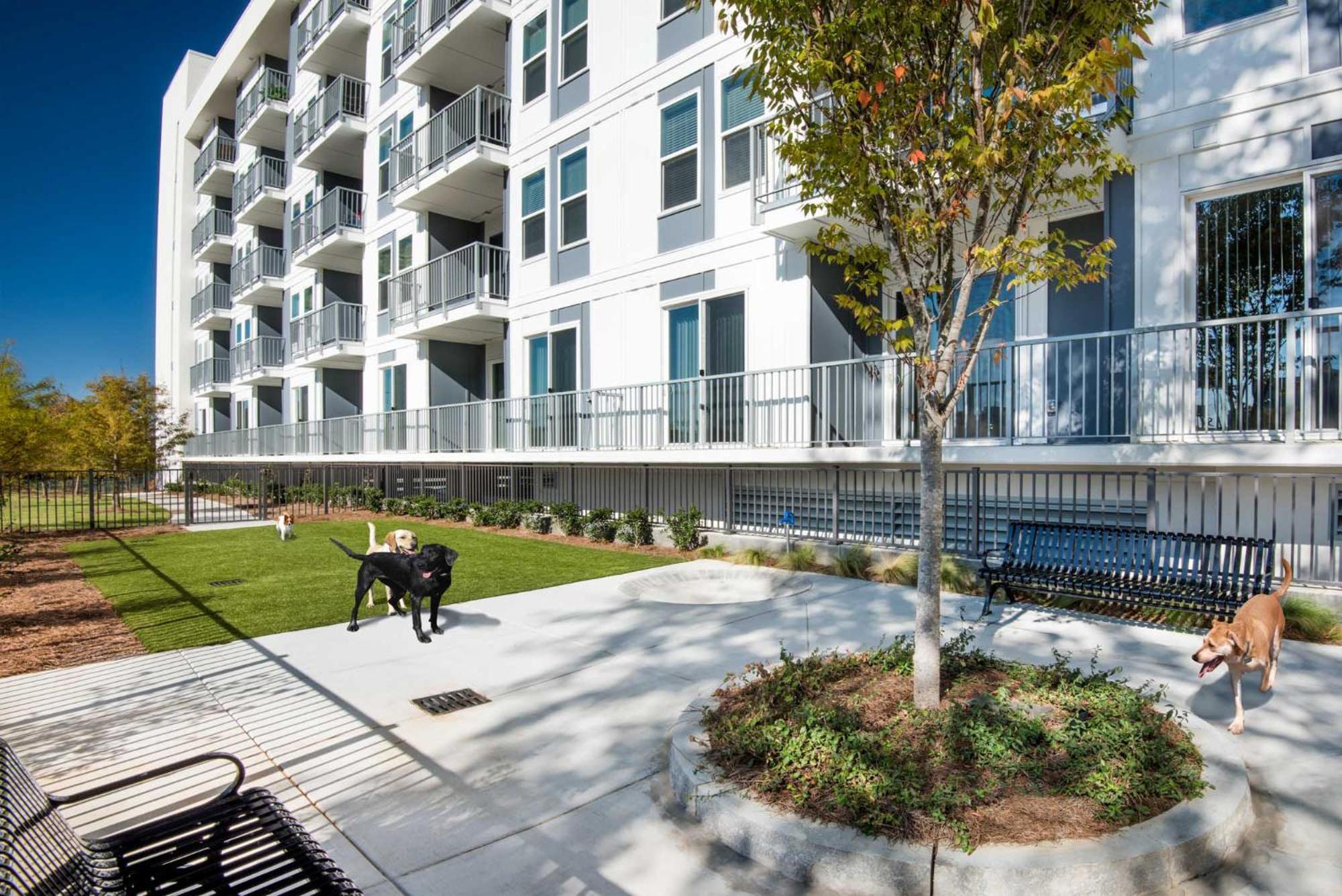 Spectacular Apartments By Bca Furnished Apartments Atlanta Zimmer foto